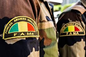 Lutte contre le terrorisme : Ali Sekou, alias Diouraydi, chef terroriste, ainsi que plusieurs autres terroristes ont été neutralisés par les FAMa.